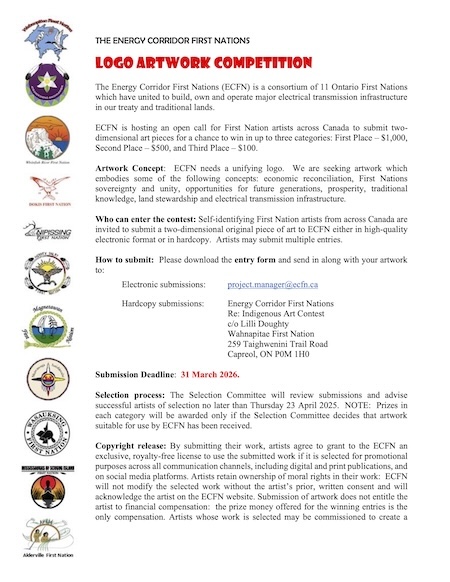 CLICK HERE to open the full ECFN Logo Artwork Competition PDF