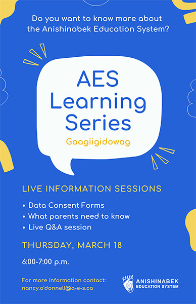 AES Learning Series web