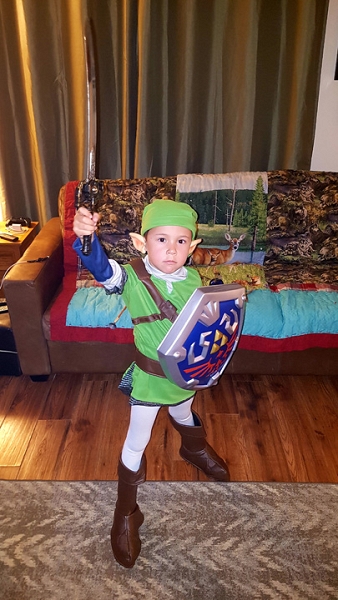 Young Link Fr. Legend of Zelda Ocarina of Time